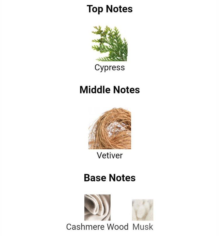 عطر ادکلن انکر نویر لالیک encr noir lalique مردانه(لالیک مشکی)