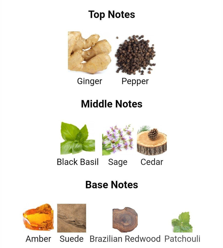 عطر ادکلن ایفوریا 100میل euphoria مردانه