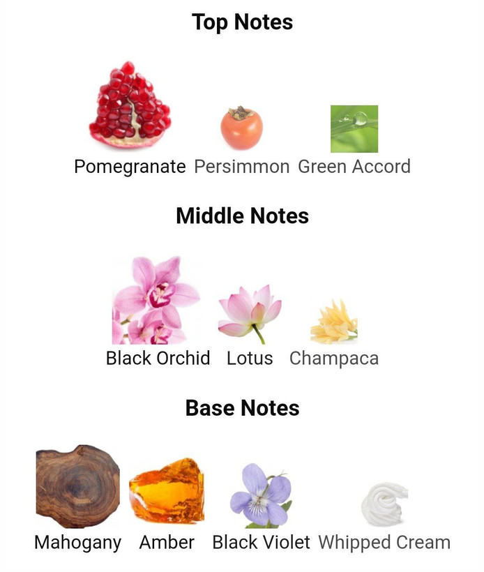 عطر ادکلن ایفوریا 100 میل euphoria cahvin klein زنانه