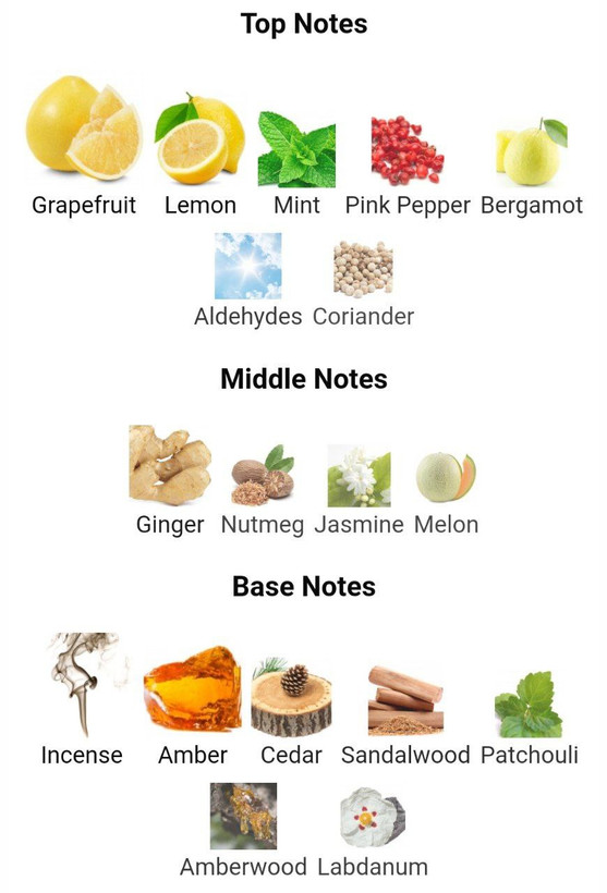 عطر ادکلن بلو د شنل بای شنل 100میل Bleu de Chanel مردانه