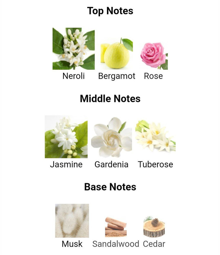 عطر ادکلن لالیک لامور 100میل L'Amour Lalique زنانه