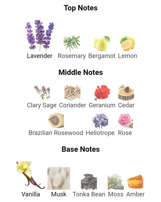 عطر ادکلن پور آن هوم 125 میل Pour Un Homme مردانه عطر شاه