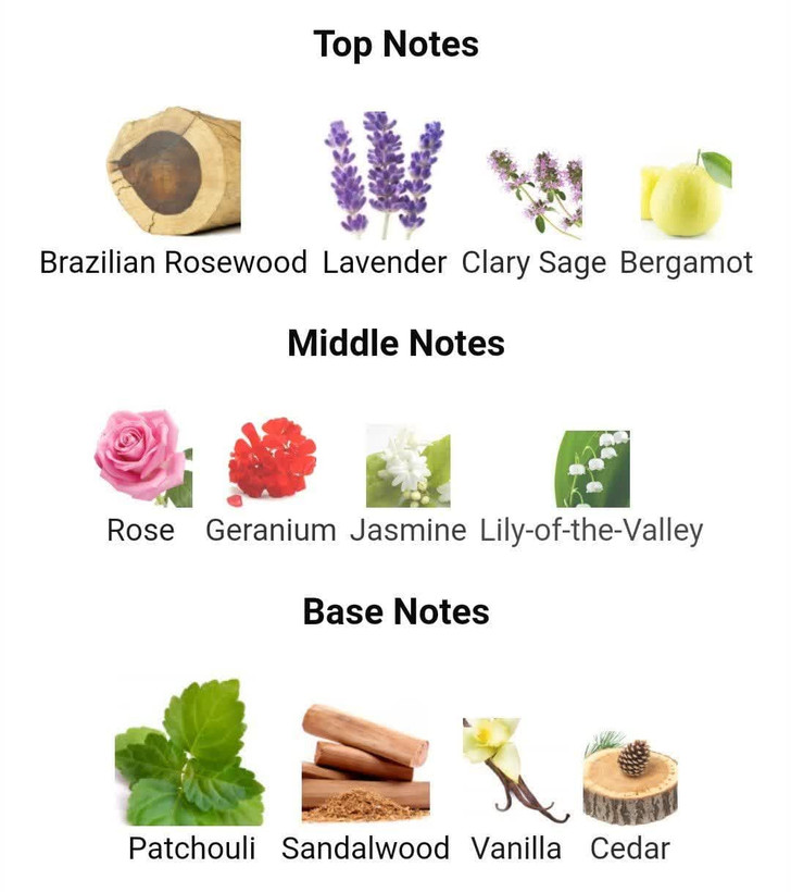 عطر ادکلن زینو دیویدوف 125 میل zino مردانه