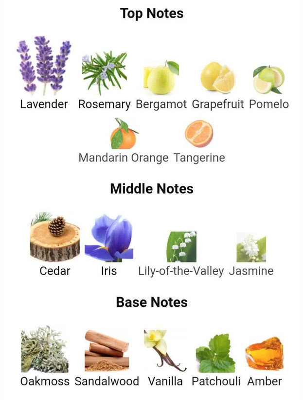 عطر ادکلن لالیک پورهوم 125 میل lalique مردانه