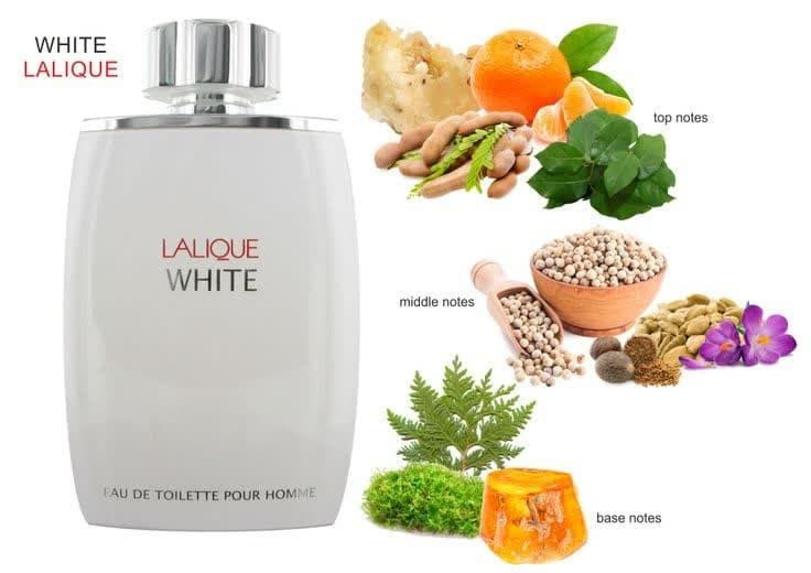عطر ادکلن لالیک وایت (لالیک سفید) 125میل مردانه Lalique White