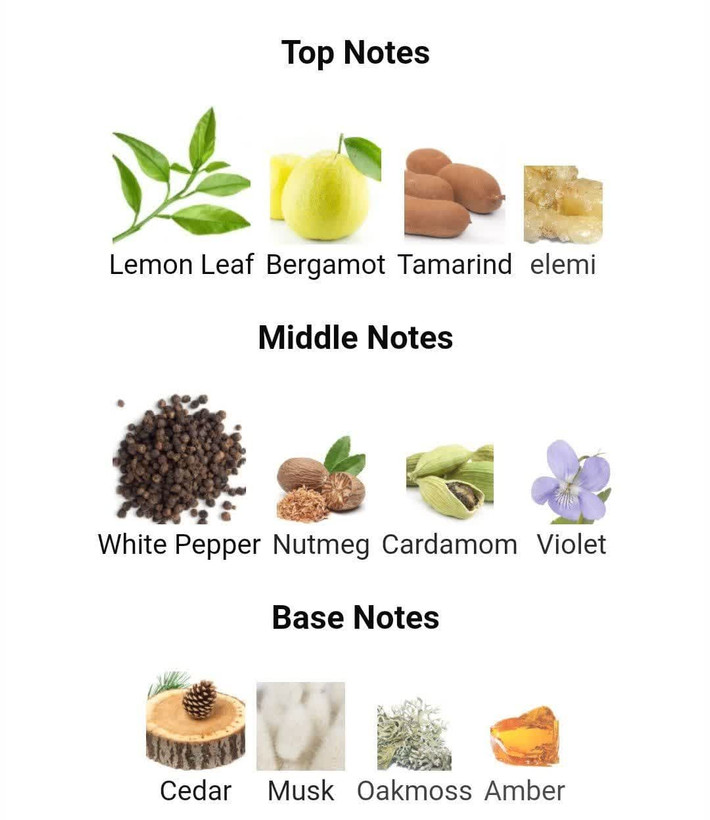 عطر ادکلن لالیک وایت (لالیک سفید) 125میل مردانه Lalique White