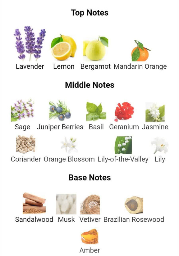 عطر ادکلن سی کی اترنیتی 100میل مردانه