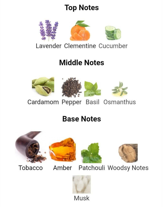 عطر ادکلن سی کی وان شوک 200میل مردانه