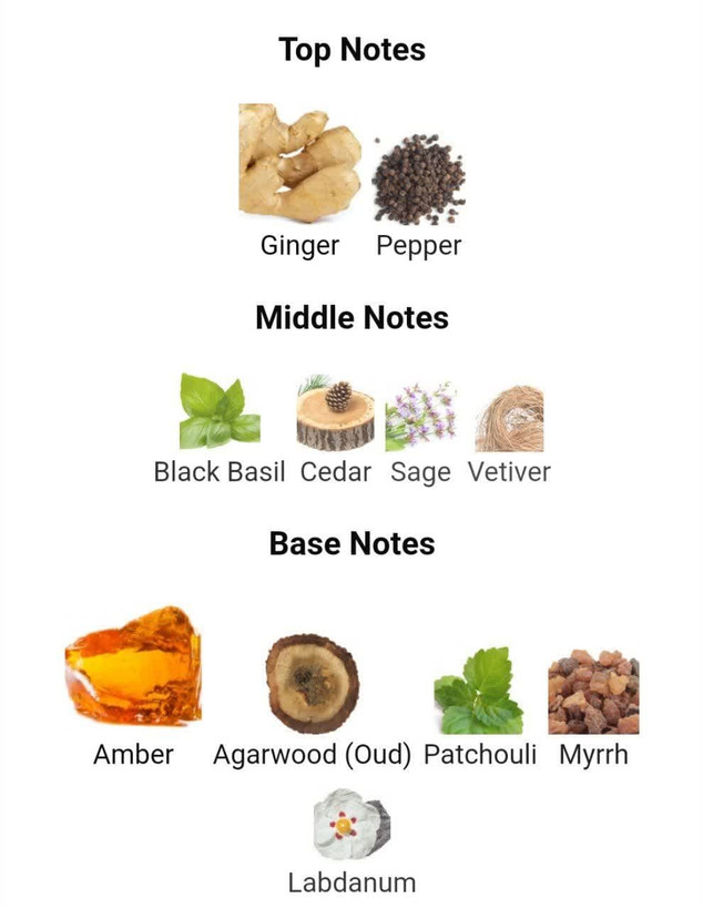 عطر ادکلن سی کی ایفوریا اینتنس 100میل مردانه