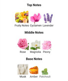 عطر ادکلن رمی مارکویس (مارکویز) شالیز 100میل زنانه