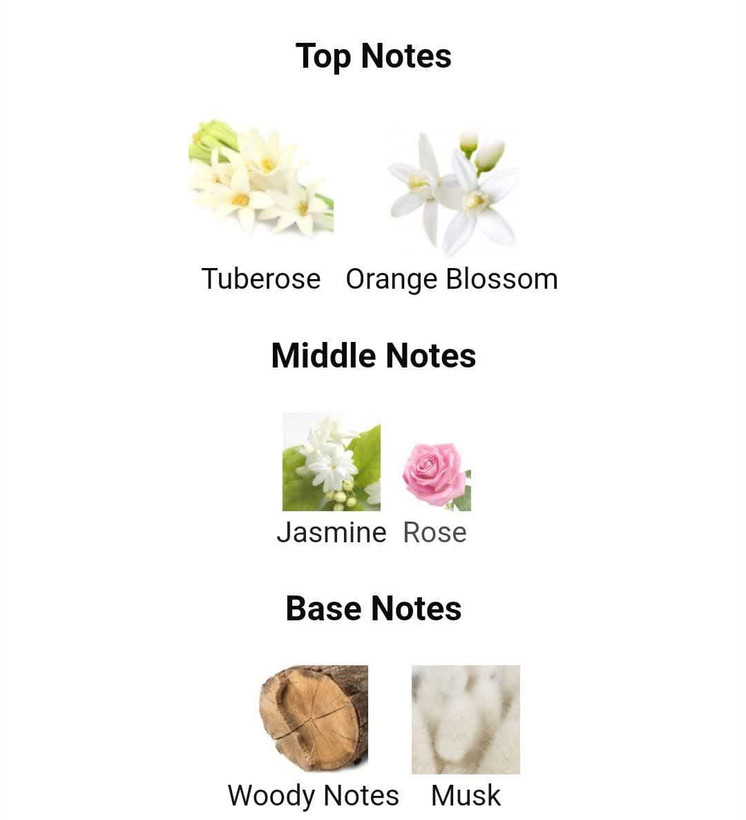 عطر ادکلن میلتون لوید هاوایی زنانه 55میل