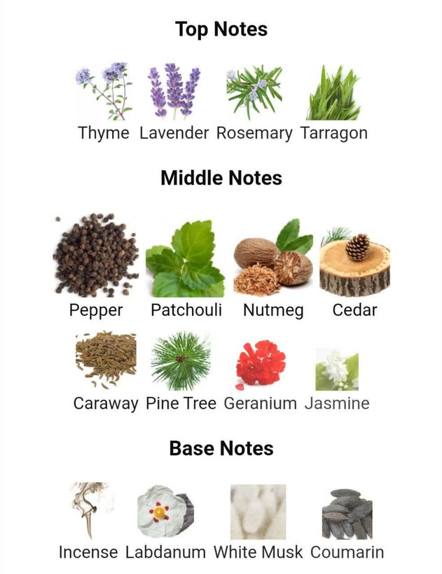 عطر ادکلن اورلن دریک 100میل مردانه