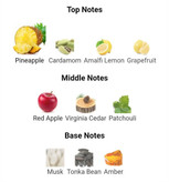 عطر ادکلن جگوار ویژن 100میل مردانه