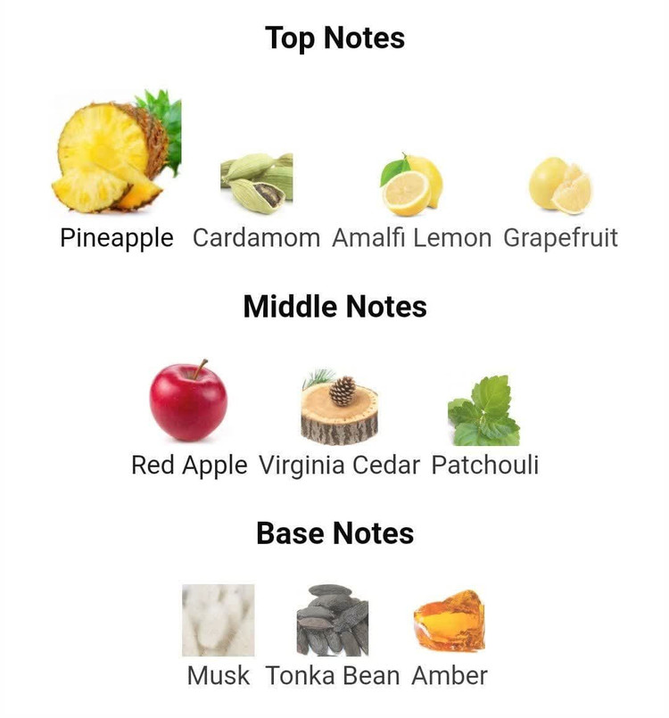 عطر ادکلن جگوار ویژن 100میل مردانه