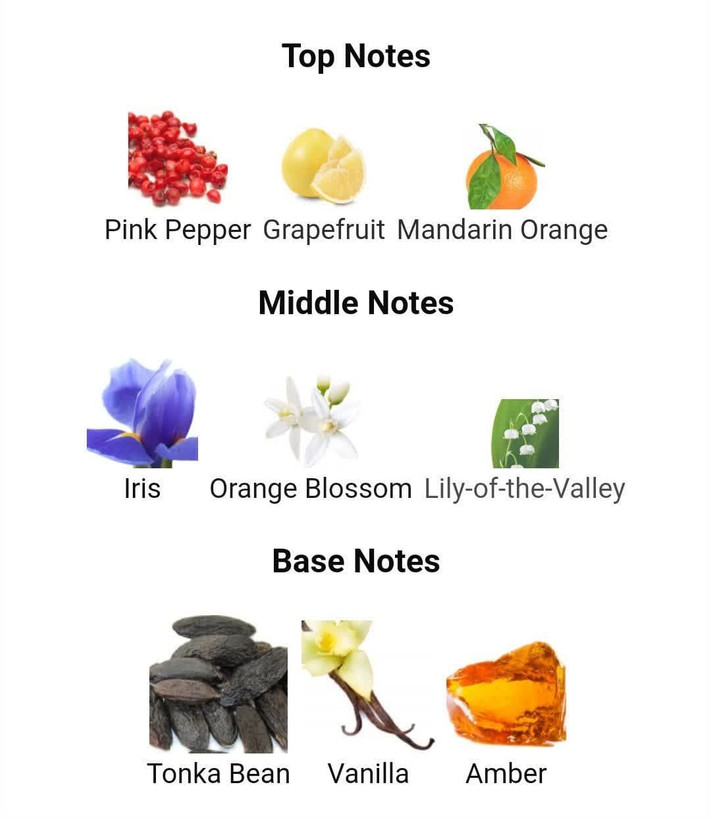 عطر ادکلن جگوار اکسلنس 100میل مردانه