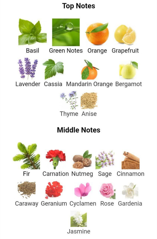 عطر ادکلن جگوار مردانه سبز 100میل