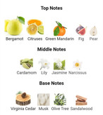 عطر ادکلن ورساچه ورسنس 100میل زنانه