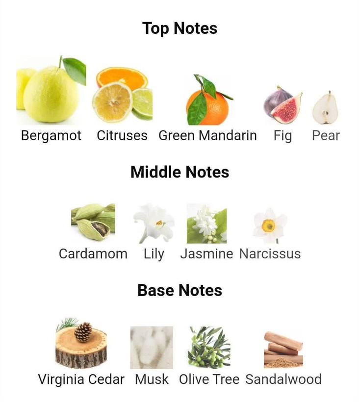 عطر ادکلن ورساچه ورسنس 100میل زنانه