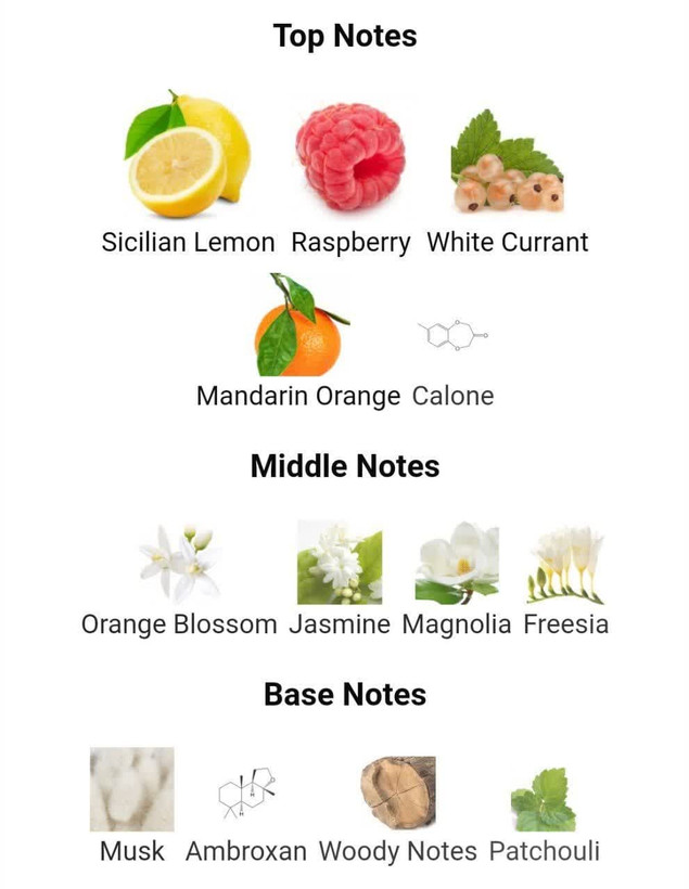 عطر ادکلن ورساچه اروس پور فم 100میل زنانه