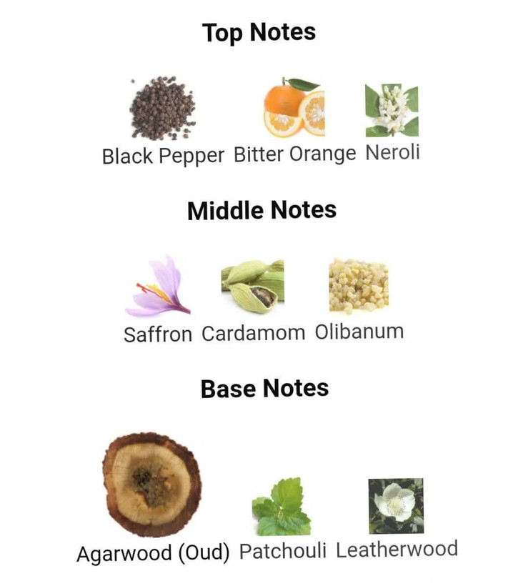 عطر ادکلن ورساچه پورهوم عود نویر 100میل مردانه