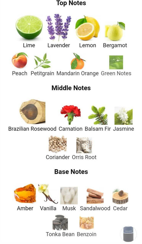 عطر ادکلن ورساچه ورسوس اومو 100میل مردانه