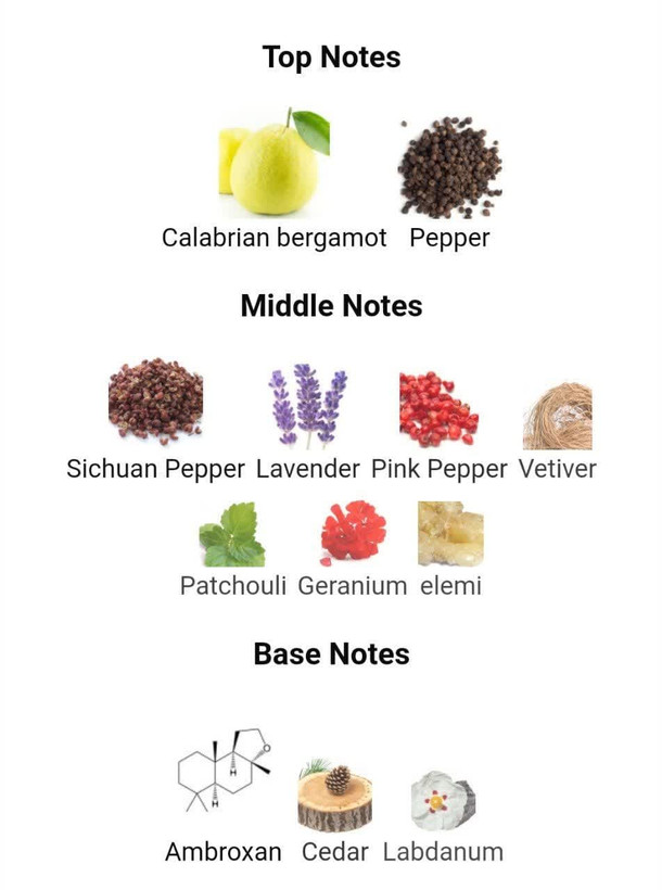 عطر ادکلن دیور ساواج-ساواژ 100میل مردانه