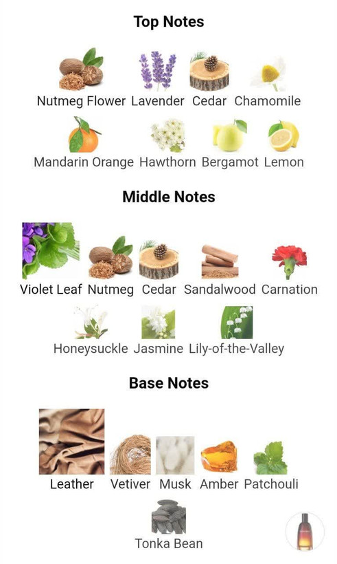 عطر ادکلن دیور فارنهایت 100میل مردانه