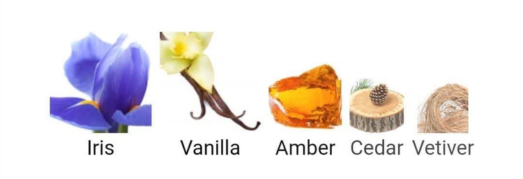 عطر ادکلن دیور هوم اینتنس 100میل مردانه