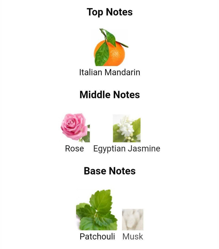 عطر ادکلن میس دیور 2012 پرفیوم 100میل زنانه