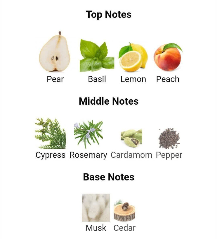 عطر ادکلن دیور هایر 125میل مردانه