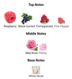 عطر ادکلن میس دیور ابسولوتلی بلومینگ 100میل زنانه