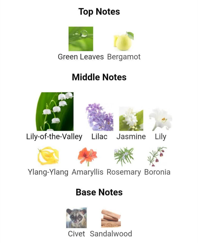 عطر ادکلن دیور دیوریسیمو 100میل زنانه