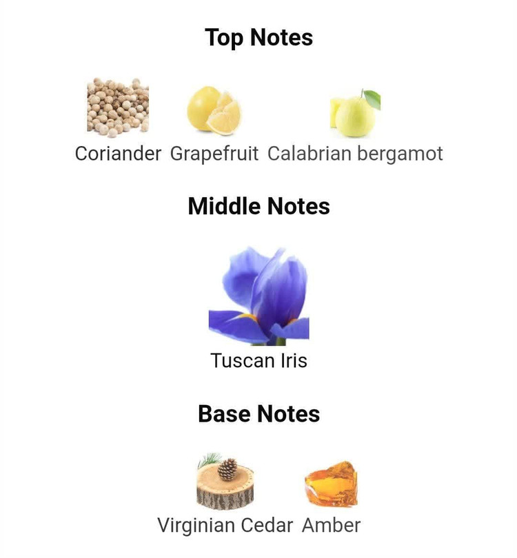 عطر ادکلن دیور هوم او فور من 100میل مردانهعطر ادکلن دیور هوم او فور من 100میل مردانه