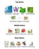 عطر ادکلن دیوویدف کول واتر 125میل مردانه