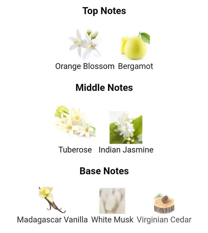 عطر ادکلن جورجیو آرمانی مای وی 90میل زنانه