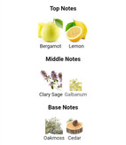 عطر ادکلن دیوویدف چمپیون90میل مردانه