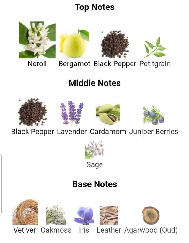 عطر ادکلن آلفرد دانهیل آیکون 100میل مردانه