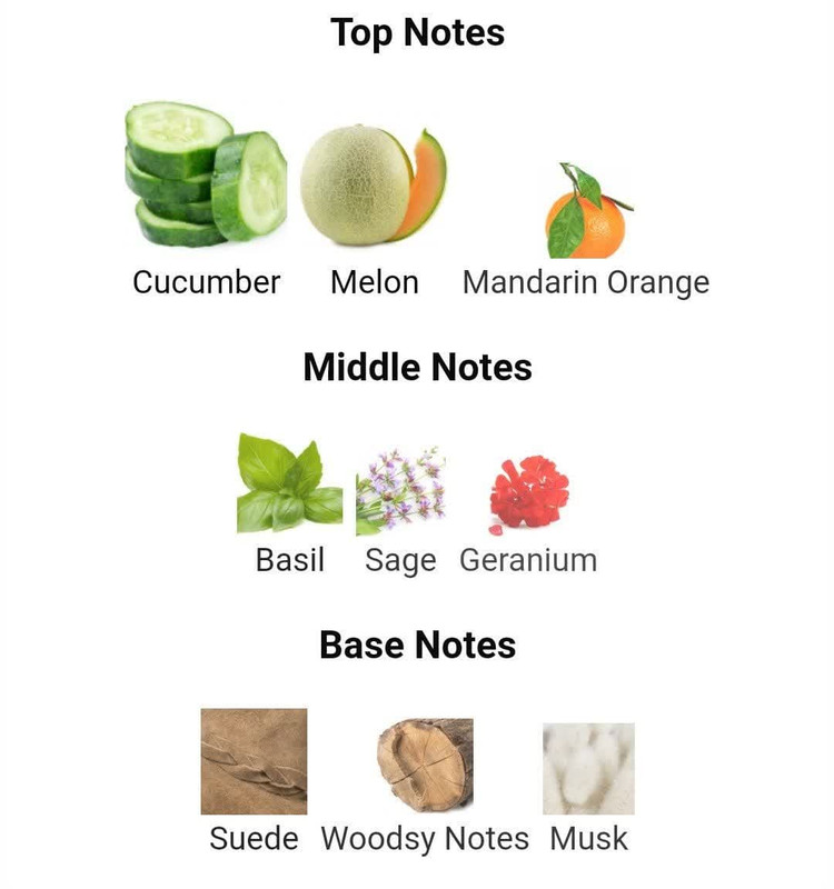 عطر ادکلن رالف لورن پولو بلو-آبی 125میل مردانه