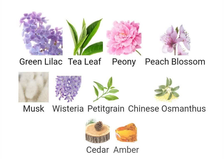 رعطر ادکلن لانوین اکلت 100میل زنانه اصل