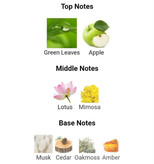 عطر ادکلن ناتیکا وویاج100میل مردانه