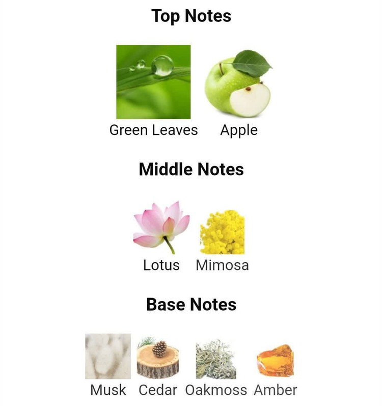 عطر ادکلن ناتیکا وویاج100میل مردانه