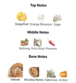 عطر ادکلن تام فورد گری ویتور 100میل مردانه