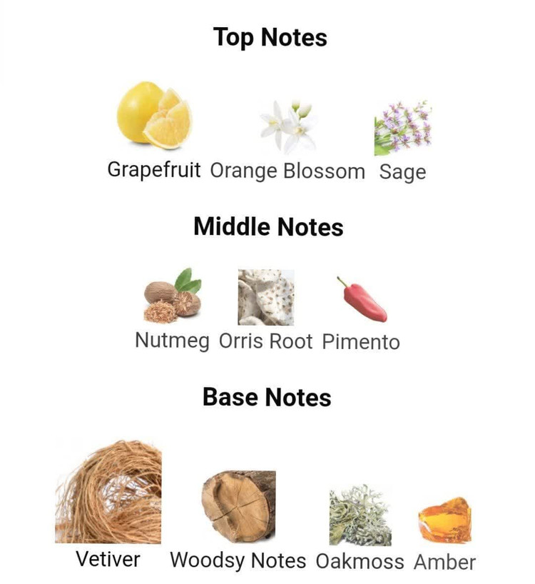 عطر ادکلن تام فورد گری ویتور 100میل مردانه