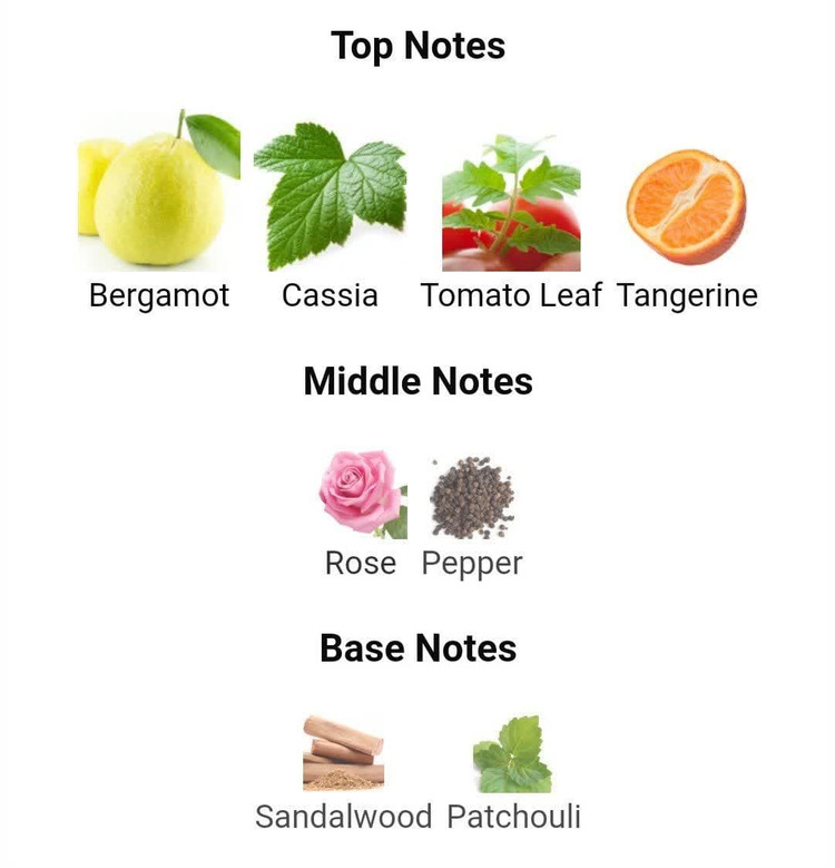 عطر ادکلن لاگوست اسنشیال 125میل مردانه